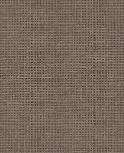 Color – Glastonbury