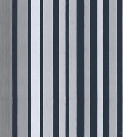 Metallic Silver on Charcoal