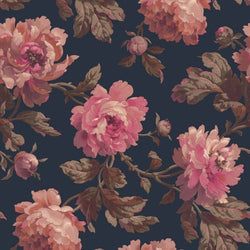 Color – Midnight