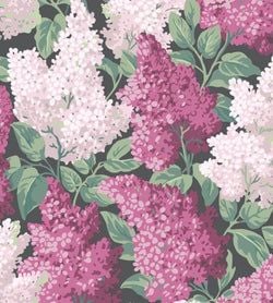 Magenta & Blush on Charcoal