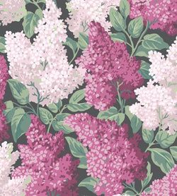 Color – Magenta & Blush on Charcoal
