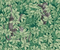 Color – Forest Green