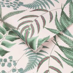 Color – Blush