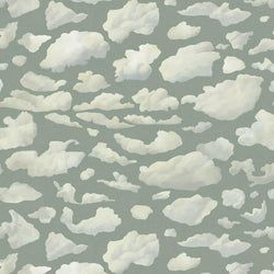 Color – Sage