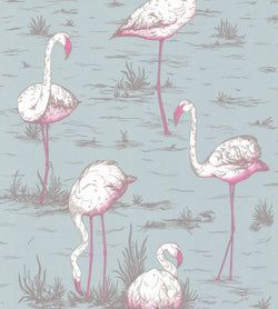 White & Fuchsia on Sea Foam