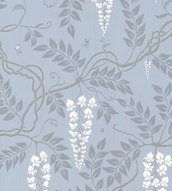Color – Chalk on Silver Birch