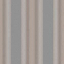 Color – Grey Rose Gold