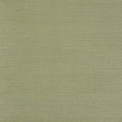 Color – Fern