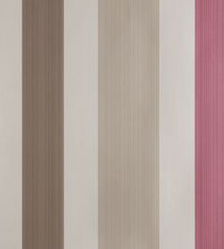 Color – Dead Salmon