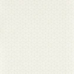 Color – Dove