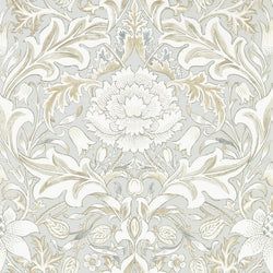 Color – Dove
