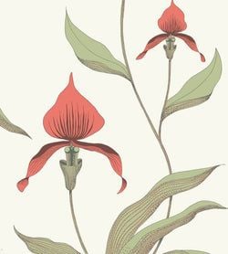 Color – Rouge & Olive on Parchment