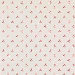 Color – Raspberry