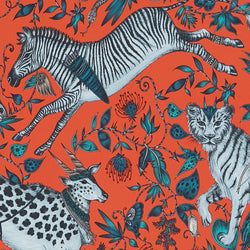 Color – Coral