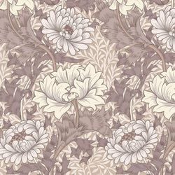 Color – Astrantia