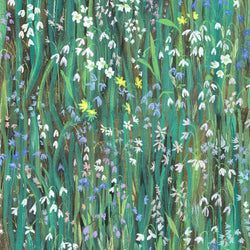 Color – Viridis