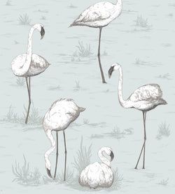 White & Charcoal on Powder Blue