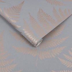Color – Dove