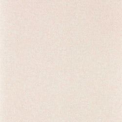 Color – Wild Rose
