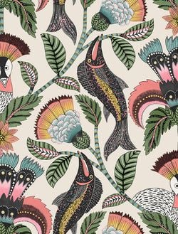 Color – Coral, Sage & Teal on Parchment