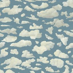 Color – Sky