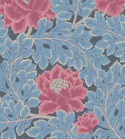Color – Cerise & Cerulean Blue on Midnight