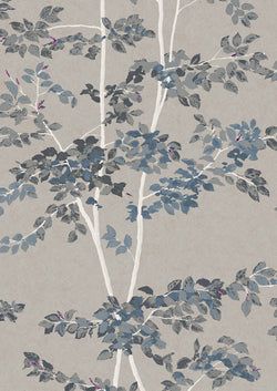 Color – Steel