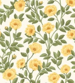 Color – Marigold & Olive Green on White