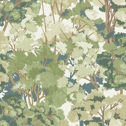 Color – Sage