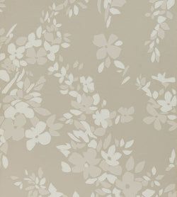 Color – Cornforth White