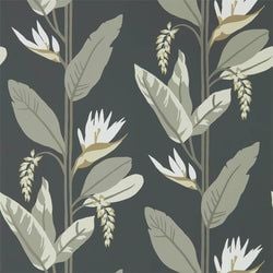 Color – Jet/Stone/Gold