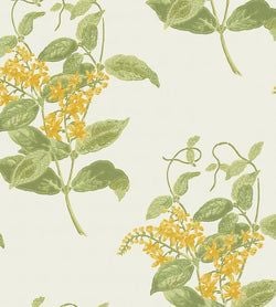 Color – Yellow & Linen on Parchment