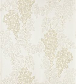 Color – White