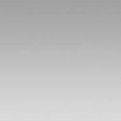 Color – silver tone