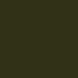 Color – olive green