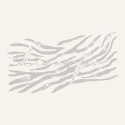 Color – white/zebra