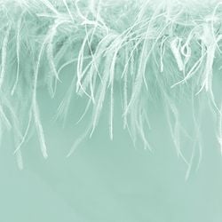 Color – mint