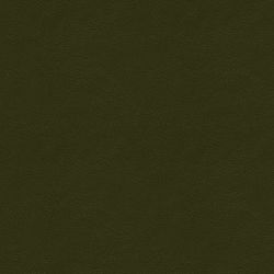Color – olive green