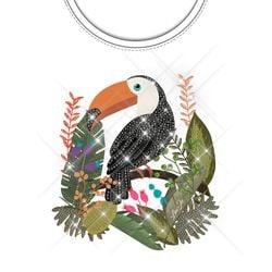 white/toucan