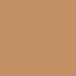 Color – camel