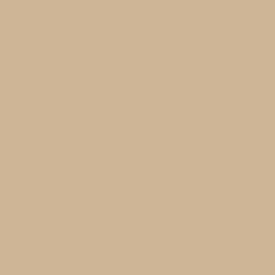 Color – sand