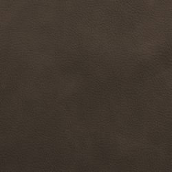 Color – mocha