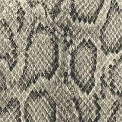 python print