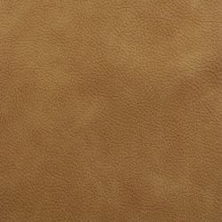 Color – camel