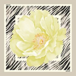 Color – peony