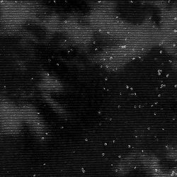 Color – black