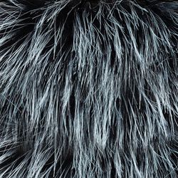 Color – black