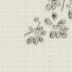 Color – white wool