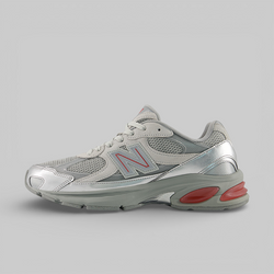 2010 - Metallic Silver