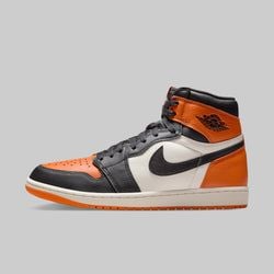 Air Jordan 1 Retro High OG "Shattered Backboard"